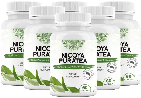 Nicoya PuraTea 6 Bottle